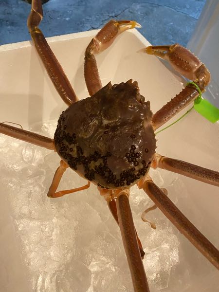 松葉蟹
