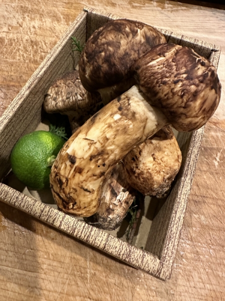 松茸